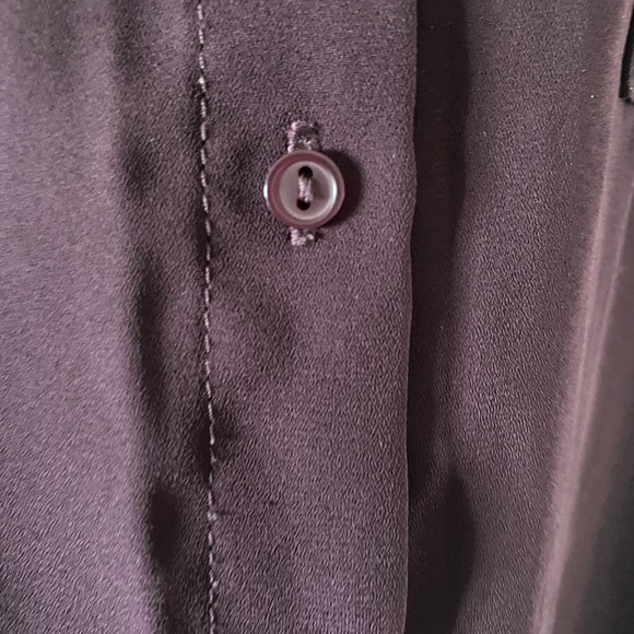 Garage - Plum Sheer Button Down Blouse - Picture 7 of 12